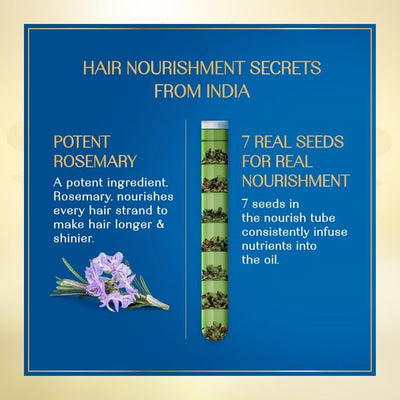 Herbsindia Rosemary & 7 Herbal Seeds Hair Oil With Nourish Tube | For Longer & Shinier Hair | 280ml